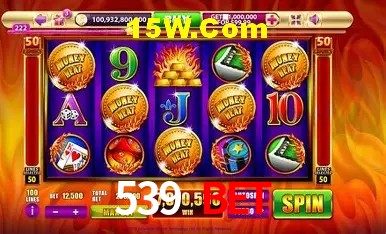 539 Bet Salvador - Support